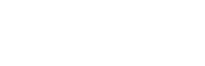 AP FLYER Systemy antydronowe